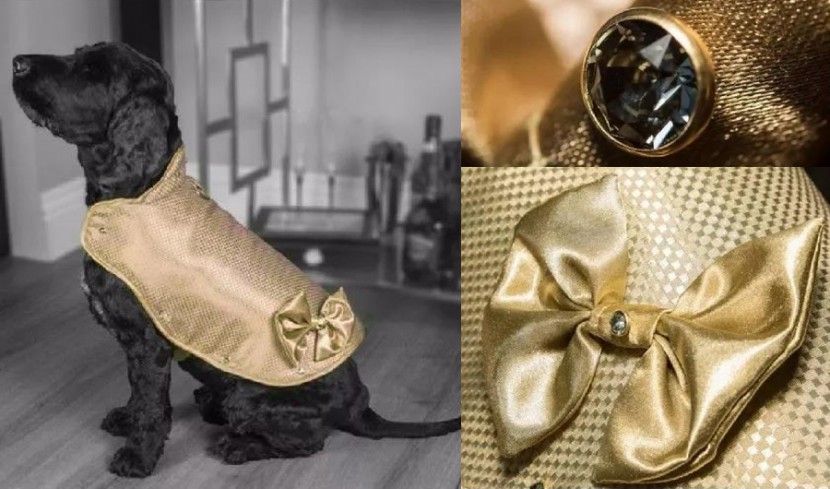 宠物衣服|宠物用品生产厂家|趣逗派宠物用品|东莞市琪美实业有限公司