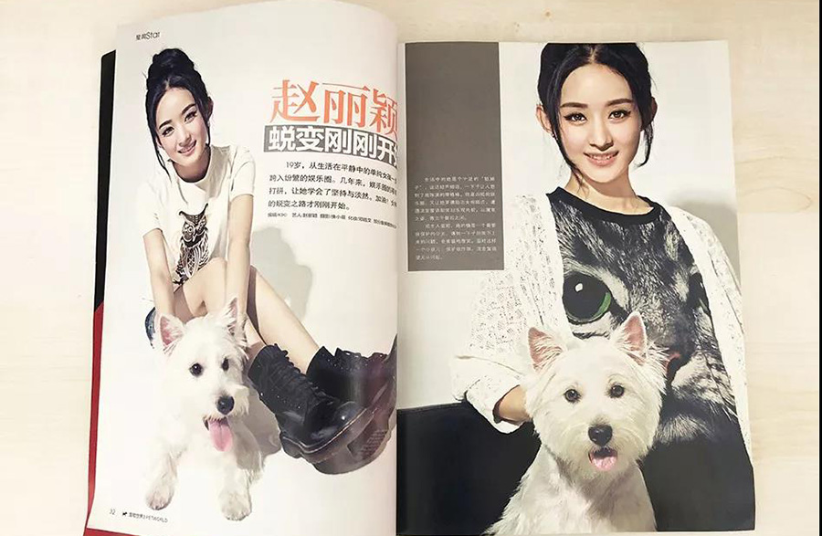 宠物衣服|宠物用品生产厂家|趣逗派宠物用品|东莞市琪美实业有限公司