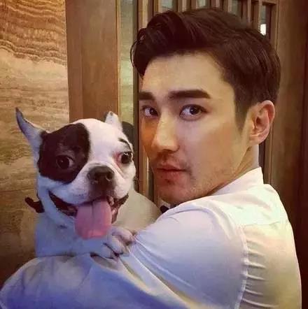 宠物牵引绳|宠物用品|宠物衣服生产厂家|趣逗派宠物用品|东莞市琪美实业有限公司