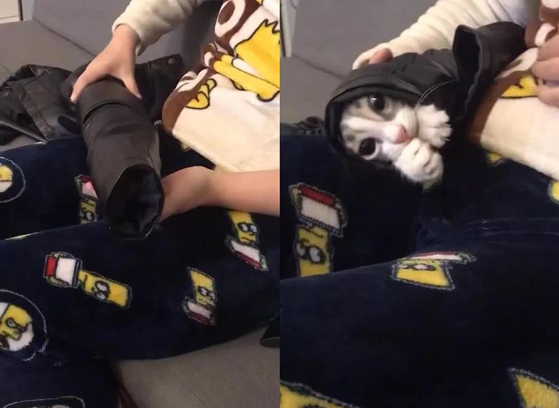 宠物衣服|宠物用品生产厂家|趣逗派宠物用品|东莞市琪美实业有限公司