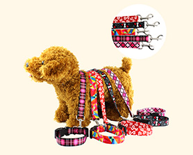 宠物牵引绳|宠物用品|宠物衣服生产厂家|趣逗派宠物用品|东莞市琪美实业有限公司