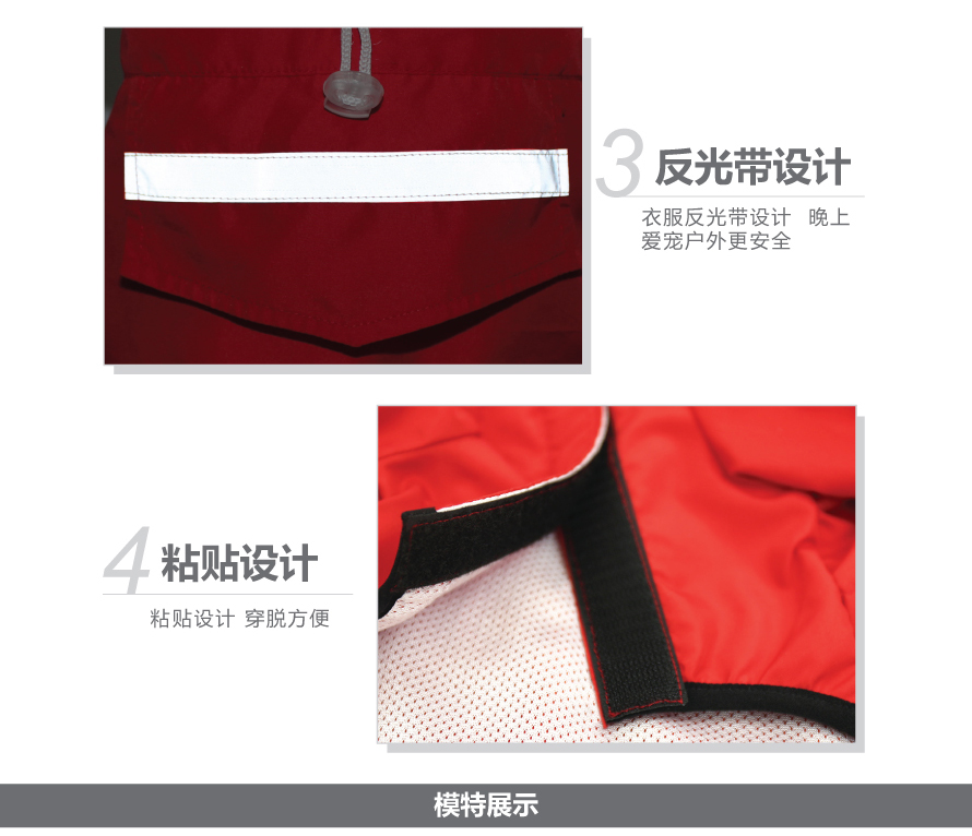 宠物衣服