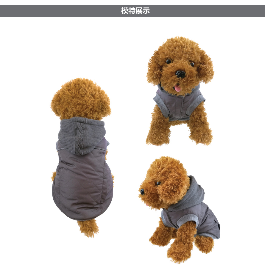 宠物衣服