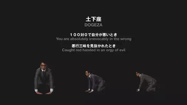 宠物衣服