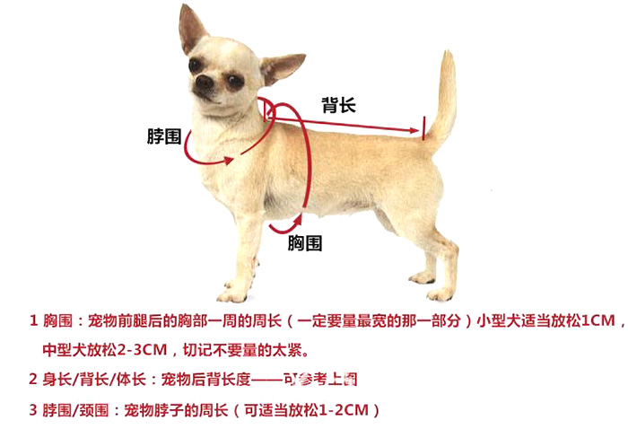 宠物衣服