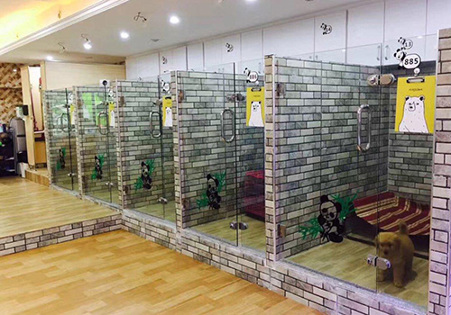 宠物用品