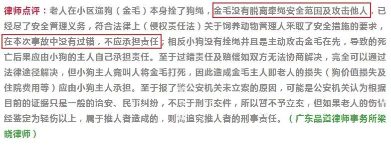 宠物牵引绳
