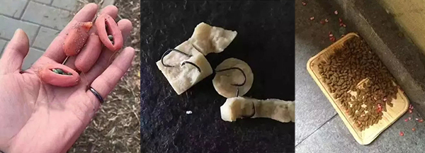 宠物牵引绳
