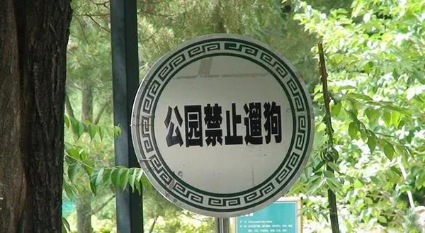 宠物用品