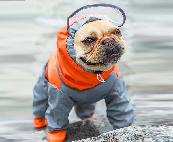 宠物雨衣