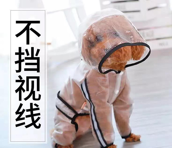 宠物雨衣