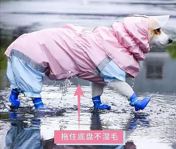 宠物雨衣