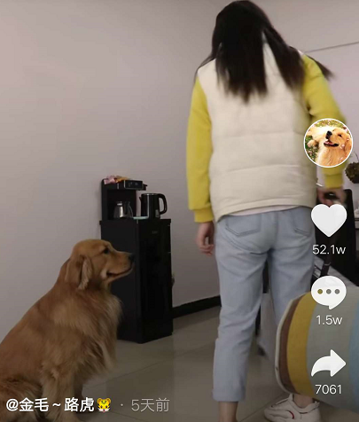宠物用品