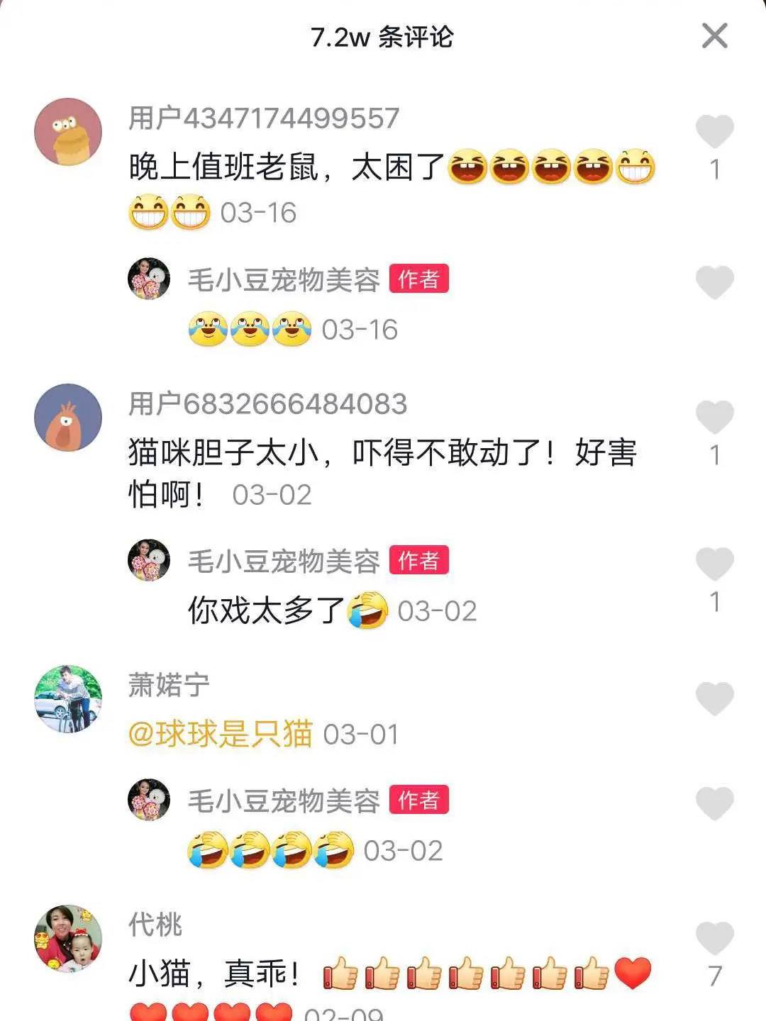宠物用品