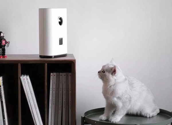 宠物用品