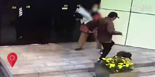 宠物牵引绳