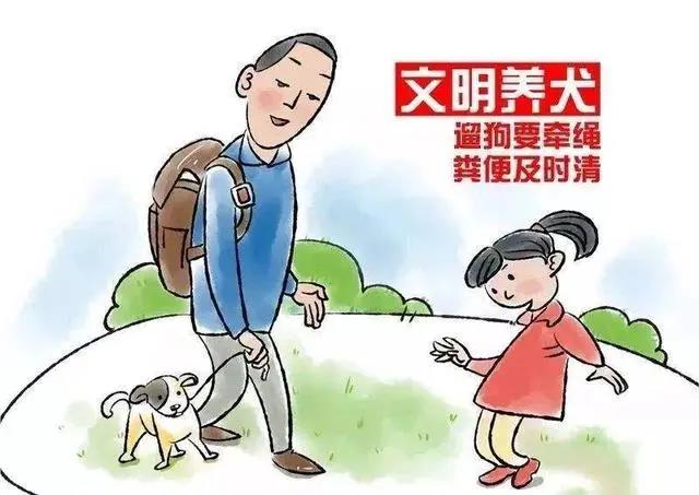 宠物牵引绳