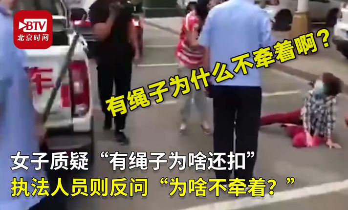 宠物牵引绳