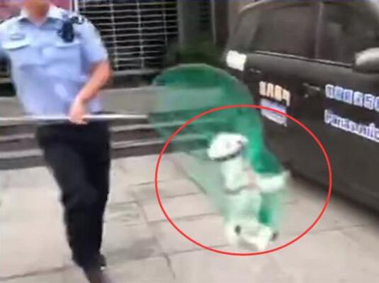 宠物牵引绳