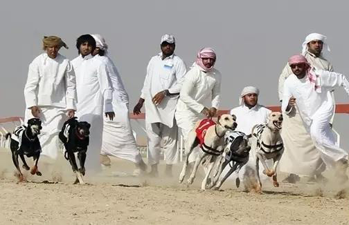 宠物衣服|宠物用品生产厂家