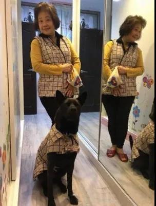 宠物衣服|宠物用品生产厂家