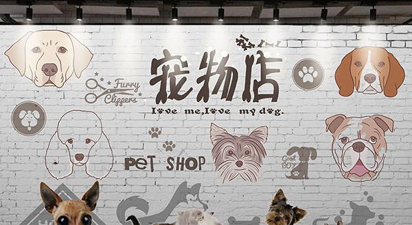 宠物用品|东莞市琪美实业有限公司