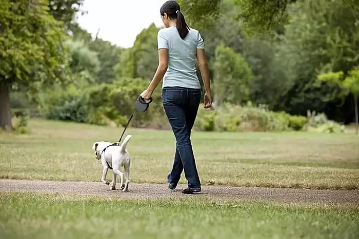 宠物牵引绳|宠物用品|宠物衣服生产厂家|东莞市琪美实业有限公司