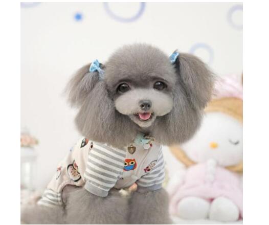 宠物衣服|趣逗派宠物用品|东莞市琪美实业有限公司