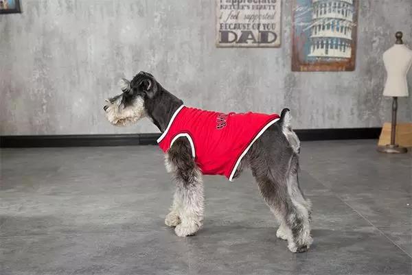 宠物衣服|趣逗派宠物用品|东莞市琪美实业有限公司