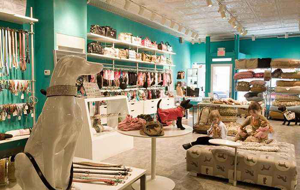 宠物用品|趣逗派宠物用品|东莞市琪美实业有限公司