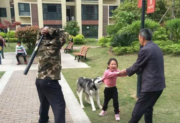 宠物牵引绳|宠物用品|宠物衣服生产厂家|趣逗派宠物用品|东莞市琪美实业有限公司