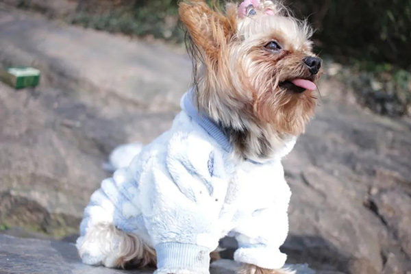 宠物衣服|宠物用品生产厂家|趣逗派宠物用品|东莞市琪美实业有限公司