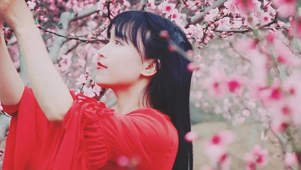 宠物衣服|宠物用品生产厂家|趣逗派宠物用品|东莞市琪美实业有限公司
