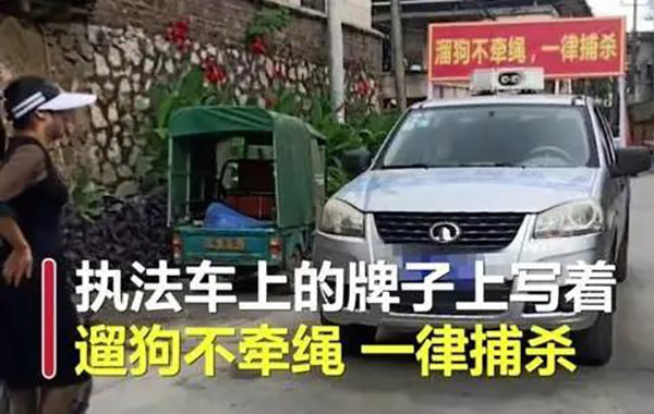 宠物牵引绳|宠物用品|宠物衣服生产厂家|趣逗派宠物用品|东莞市琪美实业有限公司