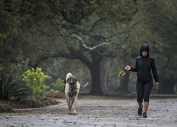 宠物衣服|宠物用品生产厂家|趣逗派宠物用品|东莞市琪美实业有限公司