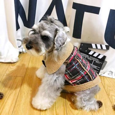 宠物衣服|宠物用品生产厂家|趣逗派宠物用品|东莞市琪美实业有限公司