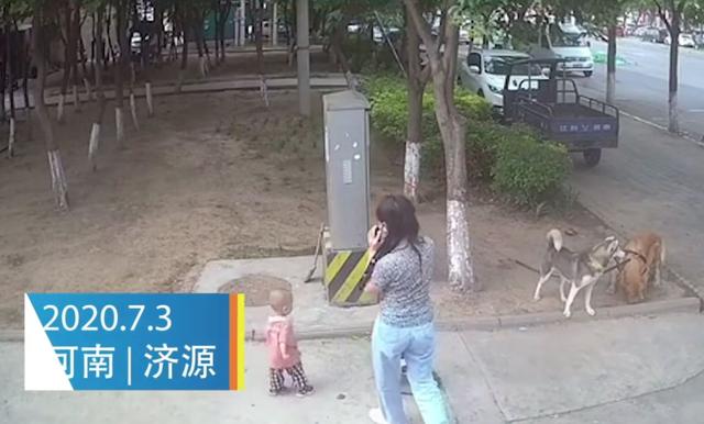 宠物牵引绳|宠物用品|宠物衣服生产厂家|趣逗派宠物用品|东莞市琪美实业有限公司