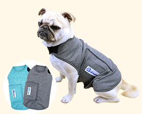 宠物安抚衣|宠物用品生产厂家|东莞市琪美实业有限公司