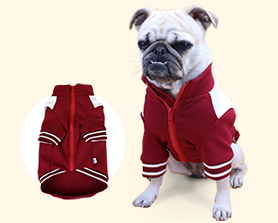 宠物卫衣|宠物用品生产厂家|东莞市琪美实业有限公司