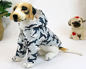 宠物外套|宠物用品生产厂家|东莞市琪美实业有限公司