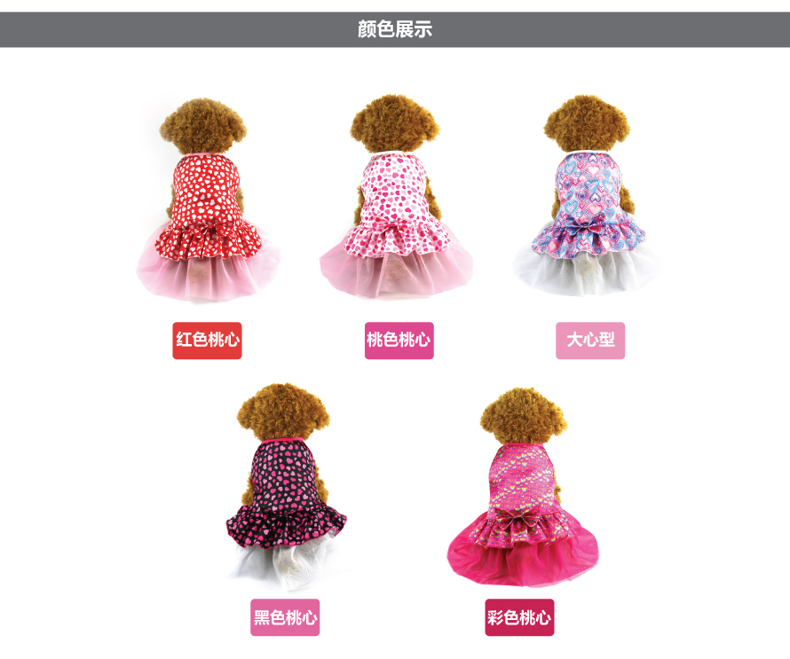 宠物衣服