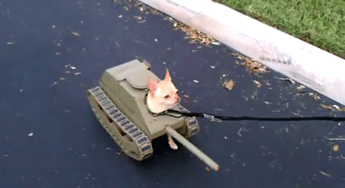 微信图片_20181019151147.gif