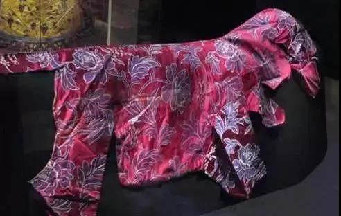 宠物衣服