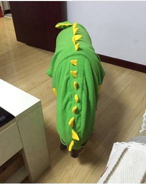 宠物衣服