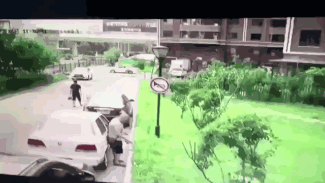 宠物牵引绳