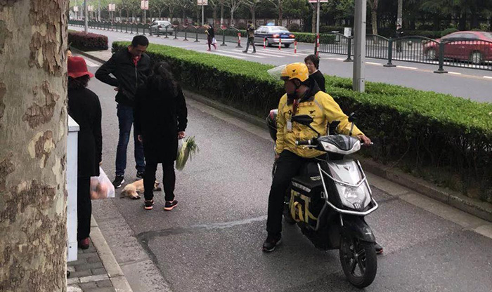 宠物牵引绳