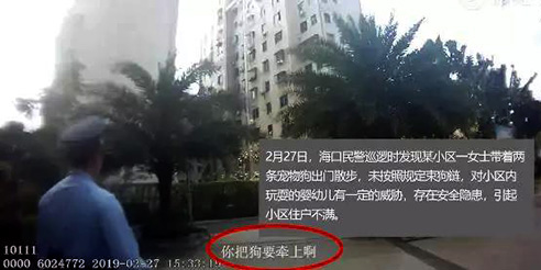 宠物牵引绳