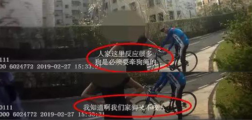 宠物牵引绳