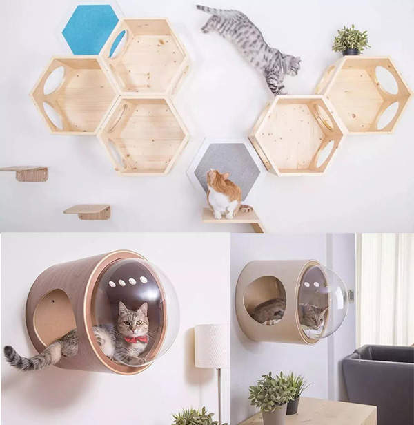 宠物用品