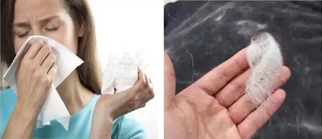 宠物用品